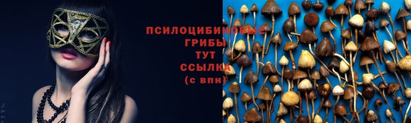 прущие крисы Арсеньев