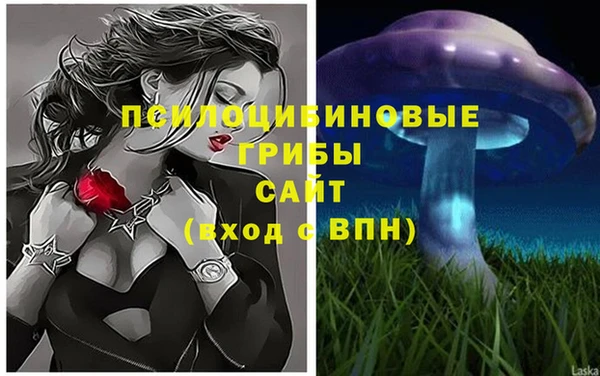 прущие крисы Арсеньев