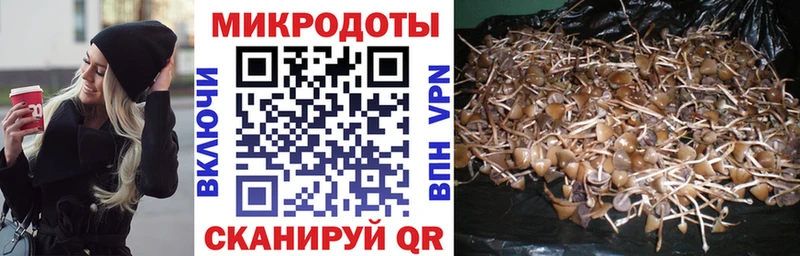 Псилоцибиновые грибы GOLDEN TEACHER  наркотики  Валдай 